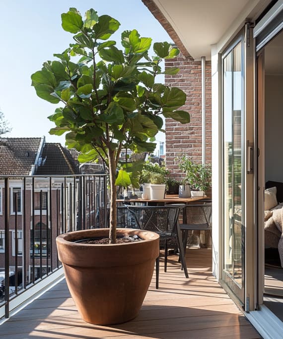 Grote boom op een balkon in Amsterdam
