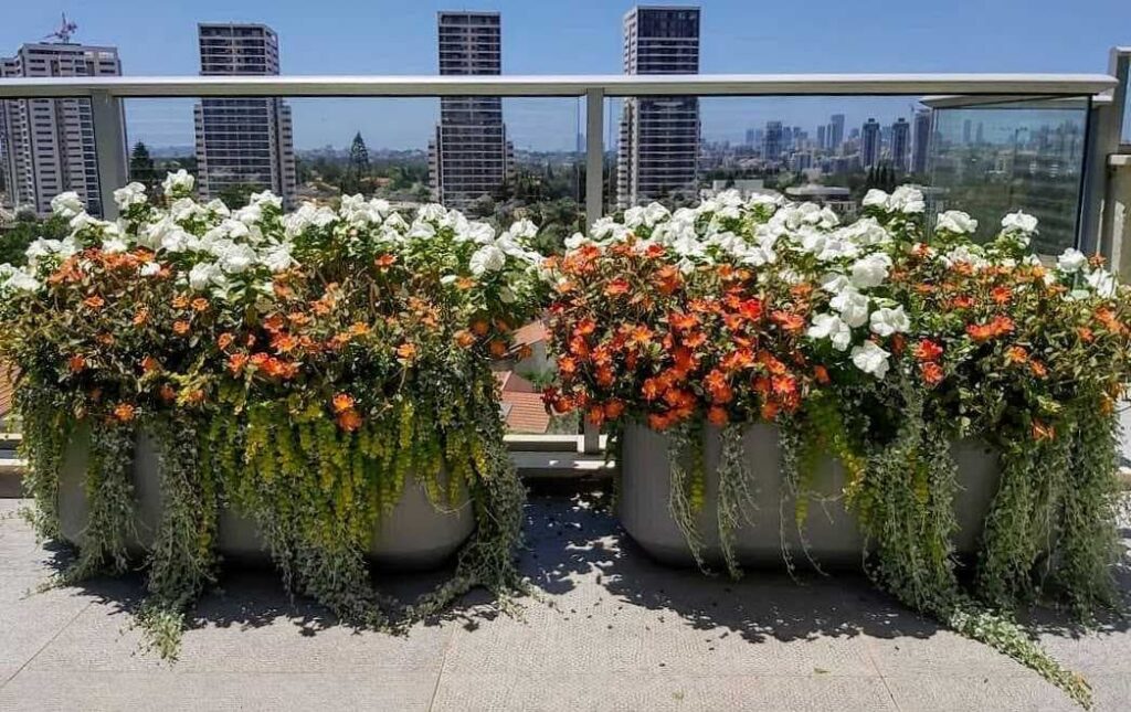Grote plantenpotten op een zonnig balkon - Grote vs kleine potten