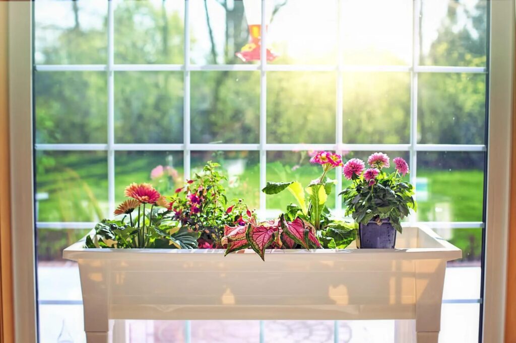 Bloemen in vierkante pot